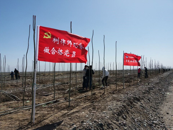 四月春光好，正是植树时。4月20日，我市金彤、重光、振泽、金厦、锦舒、森瑞、正峰、陈兴国和雪山9家律师事务所的30多名律师，积极响应市委、市政府号召，参加了以“呵护绿水青山、共建美丽张掖”为主题的春季